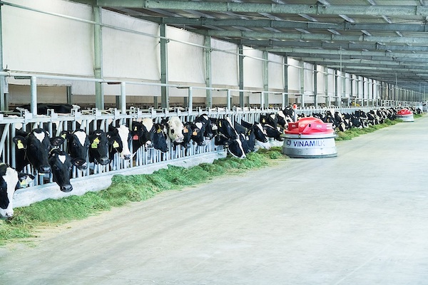 Kh&aacute;m[-]ph&aacute;[-]trang[-]trại[-]"Th&ocirc;ng[-]minh"[-]của[-]Vinamilk